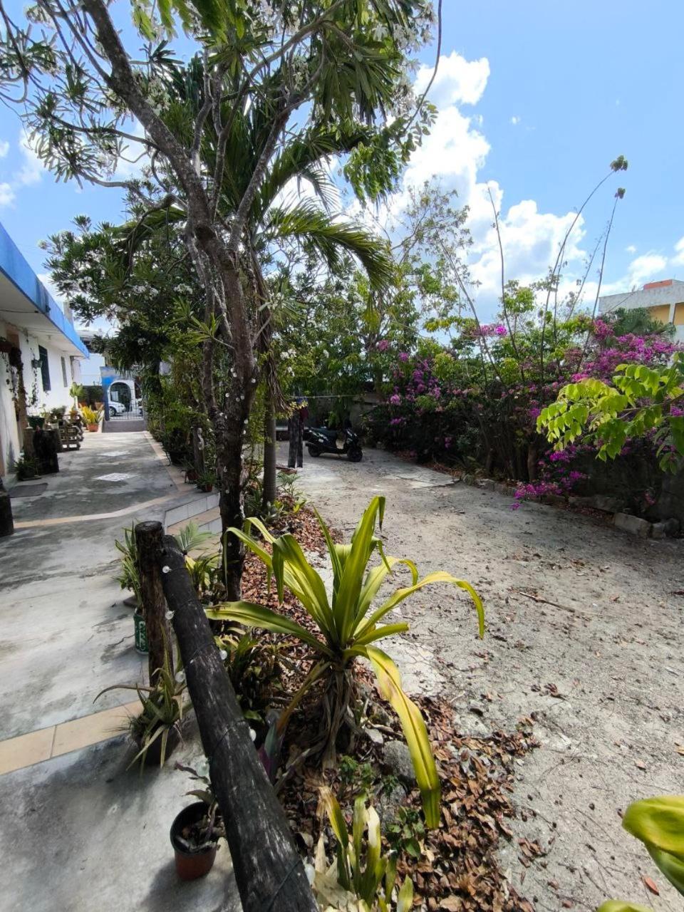 Apartment Yaxkin, Located In Downtown Cozumel